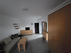 Apartament 2 camere regim hotelier